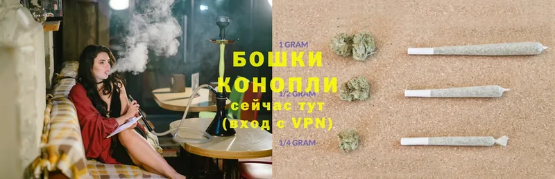 Шишки марихуана OG Kush  mega   Кедровый  как найти наркотики 